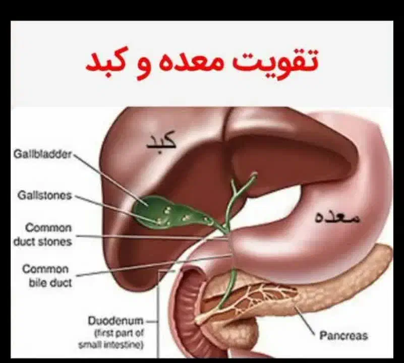 درمان سردی و کبدچرب|آرایشی، بهداشتی، درمانی|مشهد, پروین اعتصامی|دیوار