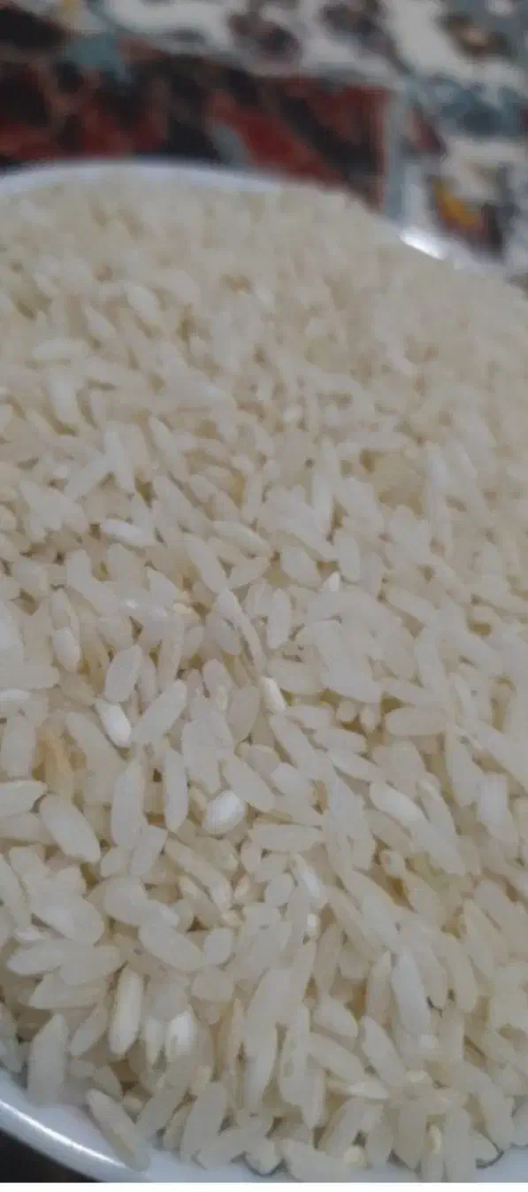 برنج چمپه درجه یک|خوردنی و آشامیدنی|صدرا-فارس, فاز ۲|دیوار