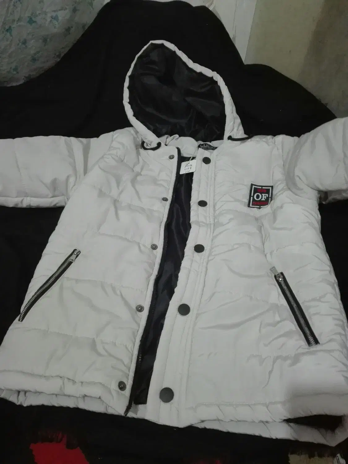 آرد|لباس|هامون, |دیوار