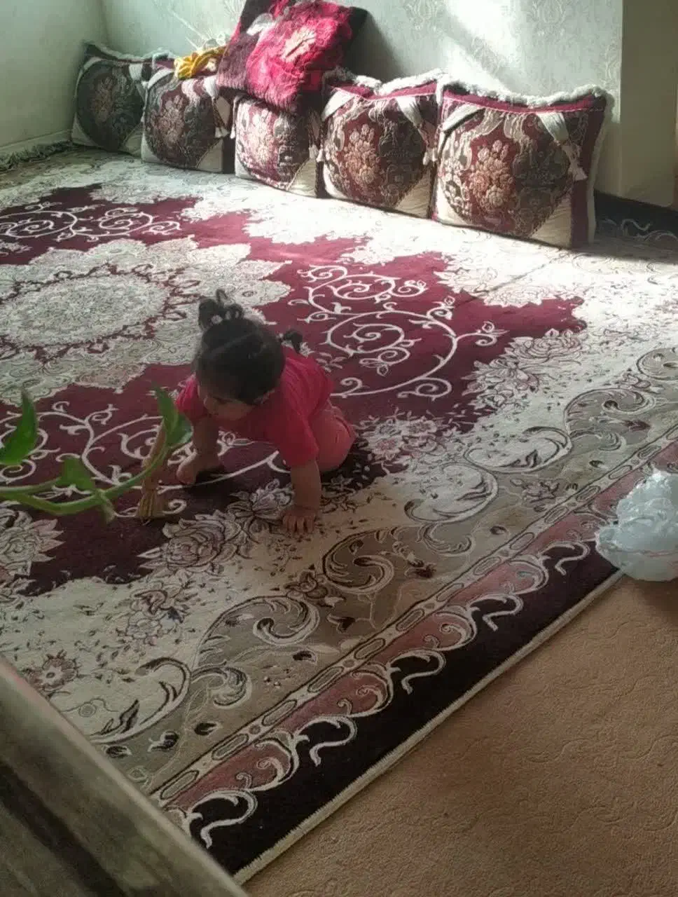 فرش 12متری|فرش|اهواز, امانیه|دیوار