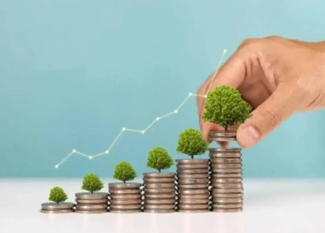 سرمایه گذاری در کار تولیدی|خدمات مالی، حسابداری، بیمه|کاشان, امیرکبیر|دیوار