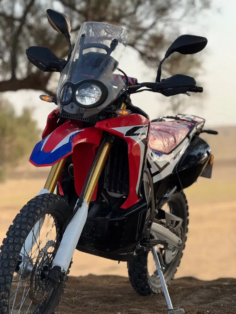 هوندا crf rally 250|موتورسیکلت|برازجان, |دیوار