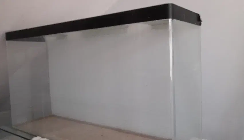 آکواریوم شیشه خم|ماهی|کرمان, |دیوار