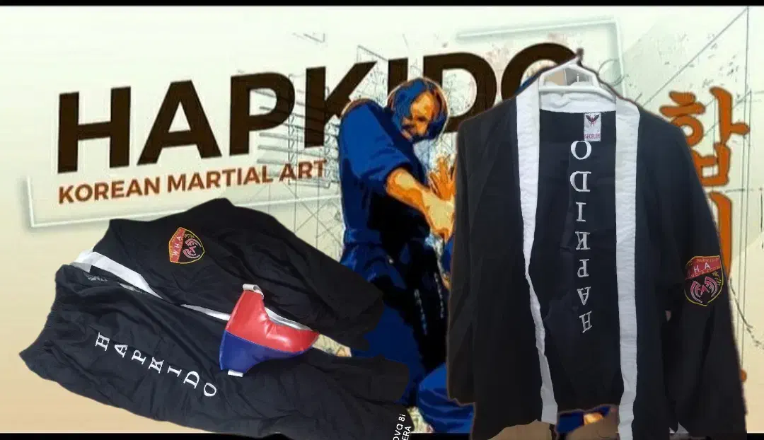 لباس رزمی(هاپکیدو)|لباس|ری, شهید غیوری (ابن باویه)|دیوار