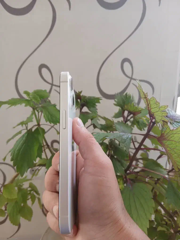 ایفون ۱۳ سفید بدون نقطه|موبایل|مهریز, |دیوار