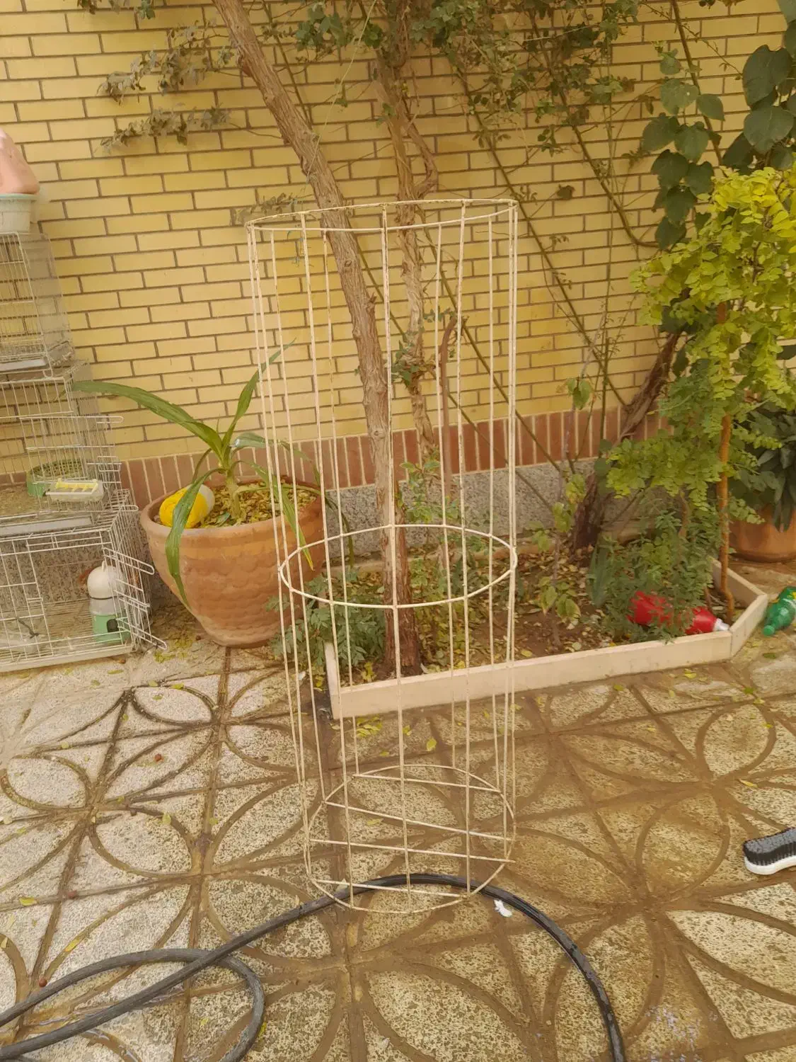 استند توپ|فروشگاه و مغازه|برخوار, |دیوار