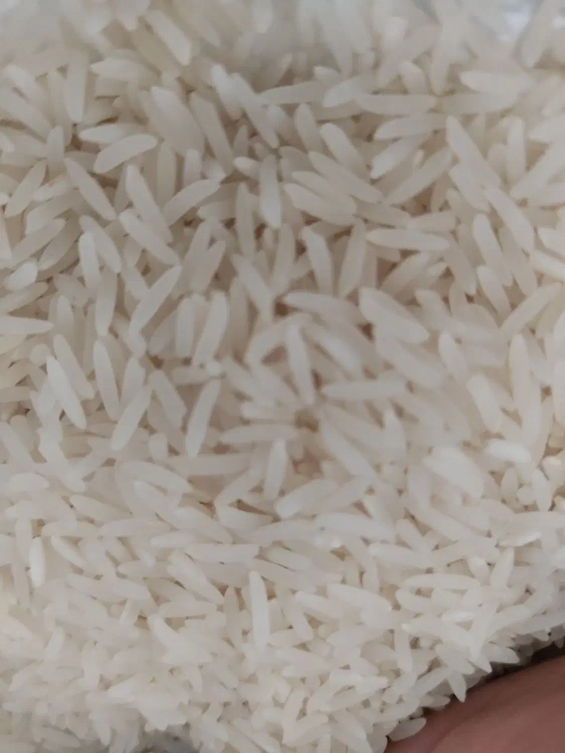 برنج اعلا عالی وخوب|خوردنی و آشامیدنی|مهدی شهر, |دیوار