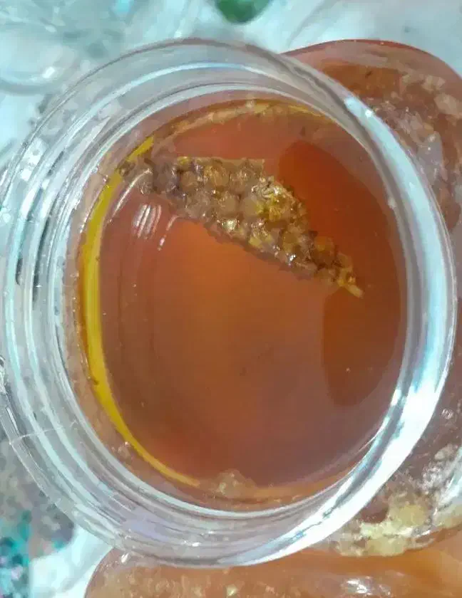 عسل خالص طبیعی ارگانیک|خوردنی و آشامیدنی|رشت, منظریه|دیوار