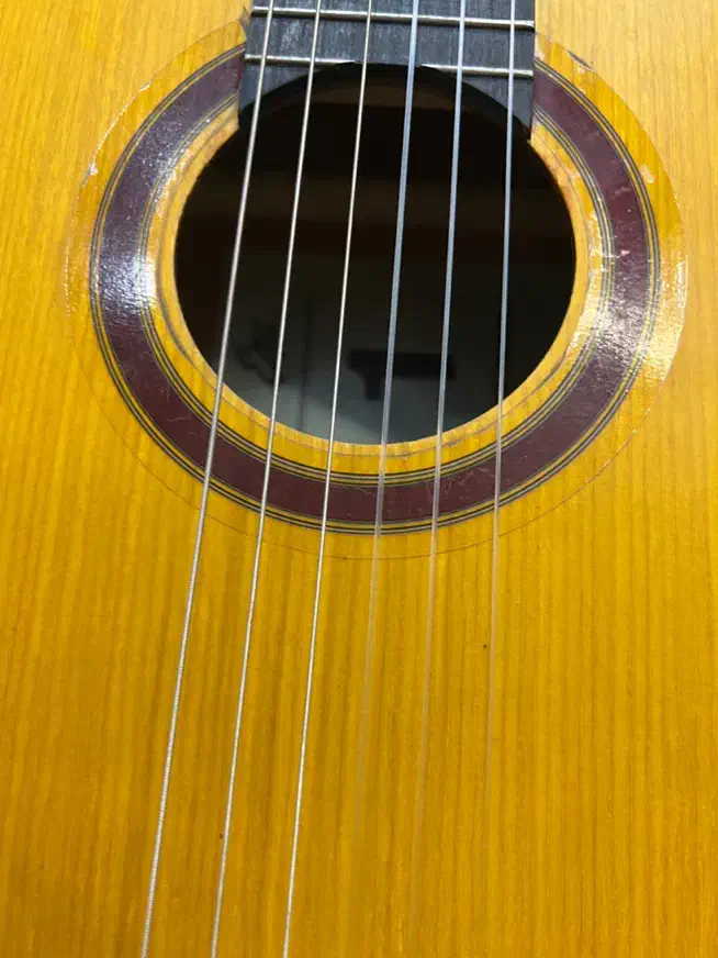 گیتار|گیتار، بیس، امپلیفایر|شیراز, حافظیه|دیوار