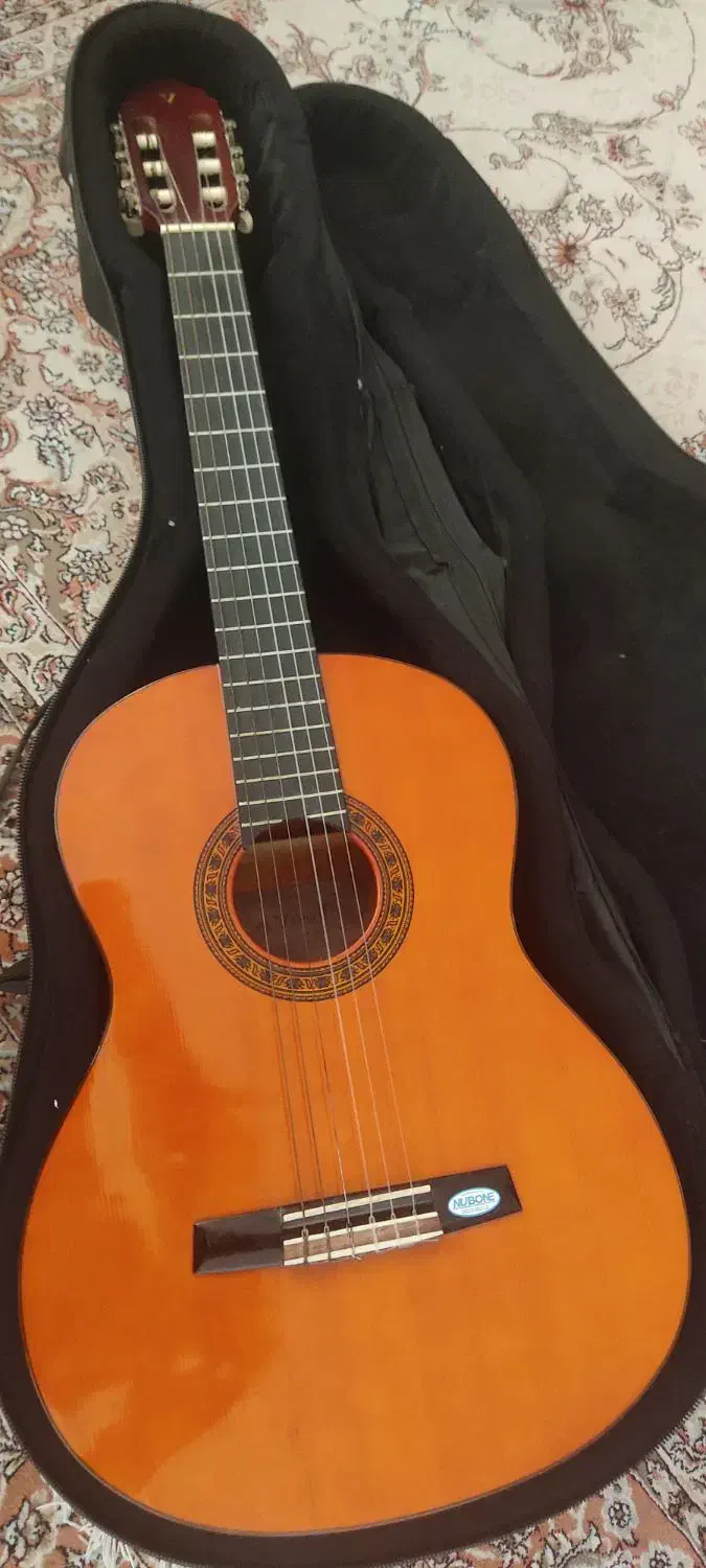 گیتار والنسیا اصل نو نو|گیتار، بیس، امپلیفایر|شیراز, جمهوری|دیوار