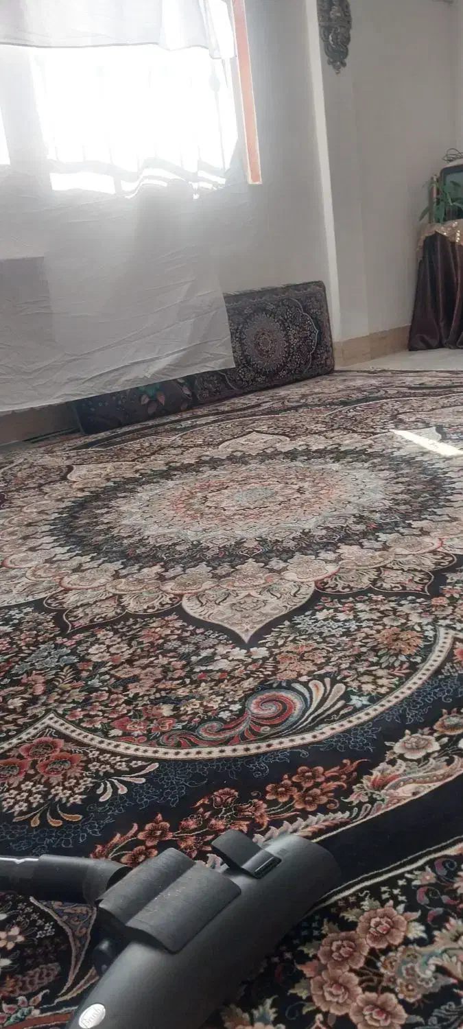 فرش سورمه ای|فرش|تویسرکان, |دیوار