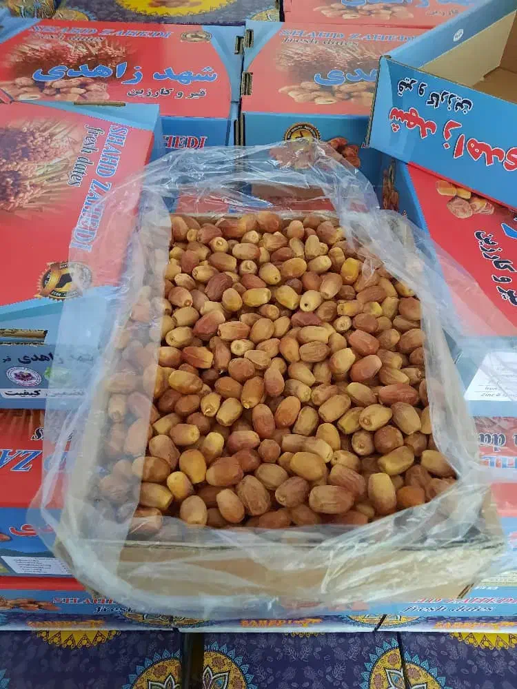 فروش ۵تن قصب درجه ۱|خوردنی و آشامیدنی|قیروکارزین, |دیوار