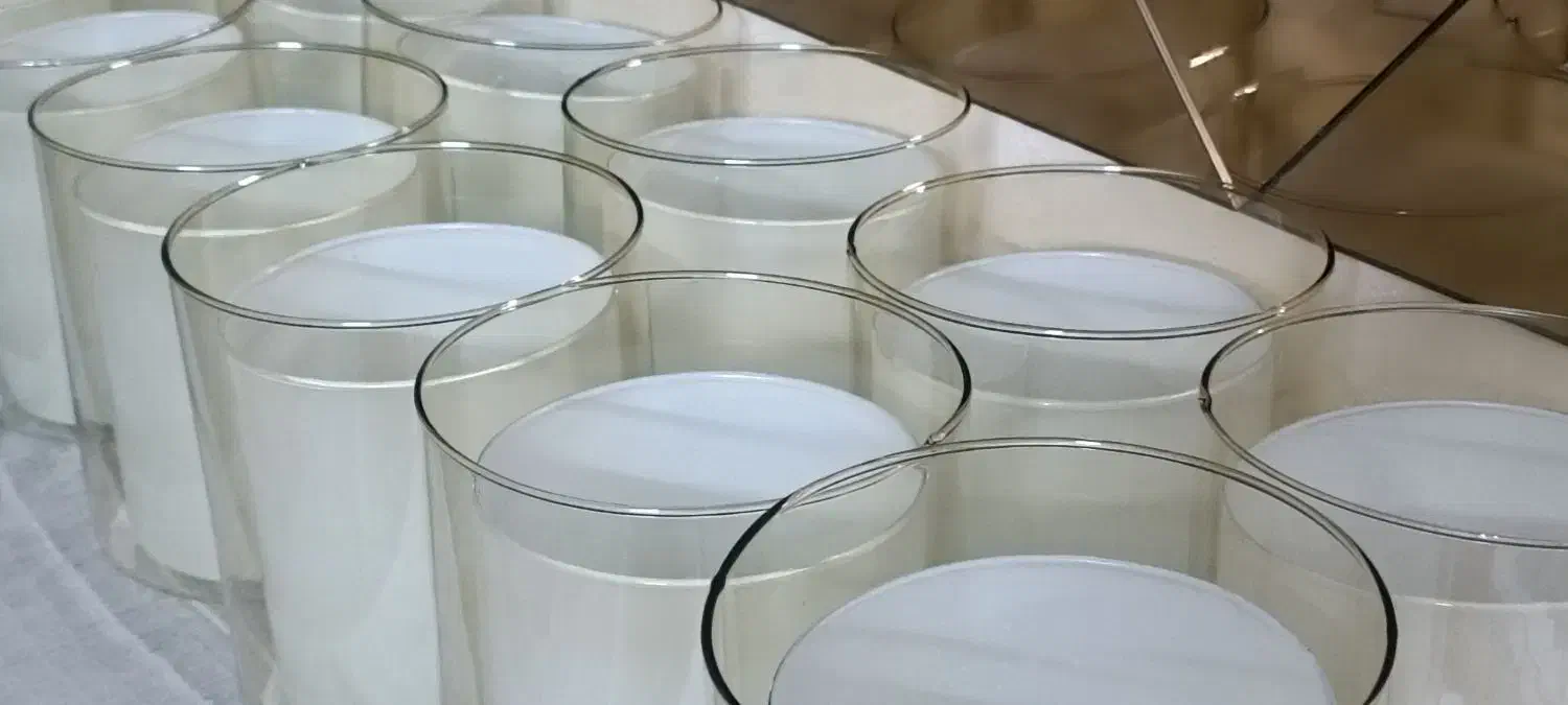 حباب دو گلس ایرانی نباتی|لوستر و چراغ آویز|قدس, شهر‌قدس|دیوار