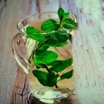 عرقیات نعناع خانگی|حراج|فیرورق, |دیوار