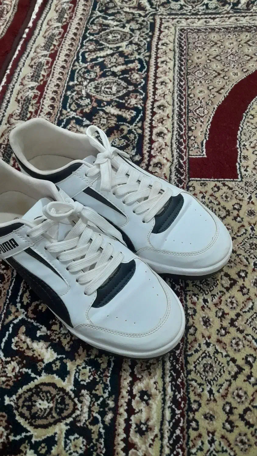 کفش puma|کیف، کفش، کمربند|سنندج, |دیوار