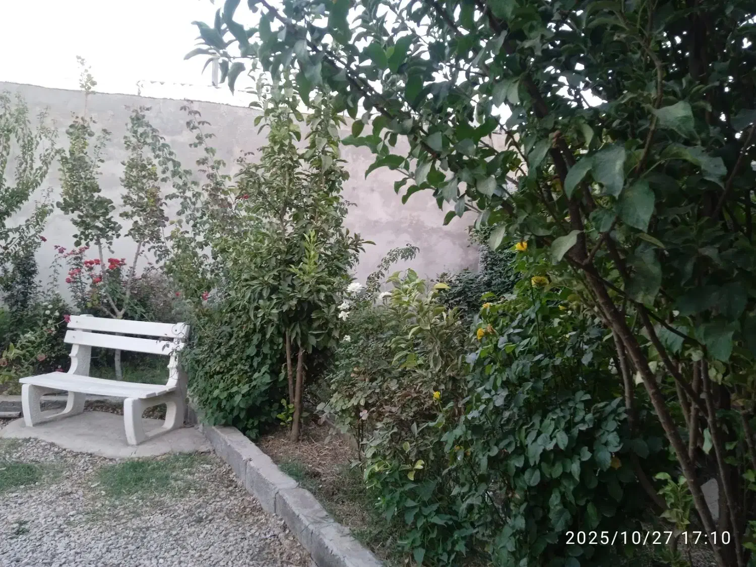 خانه اجاره ای روستایی|اجارهٔ خانه و ویلا|سرپل ذهاب, |دیوار