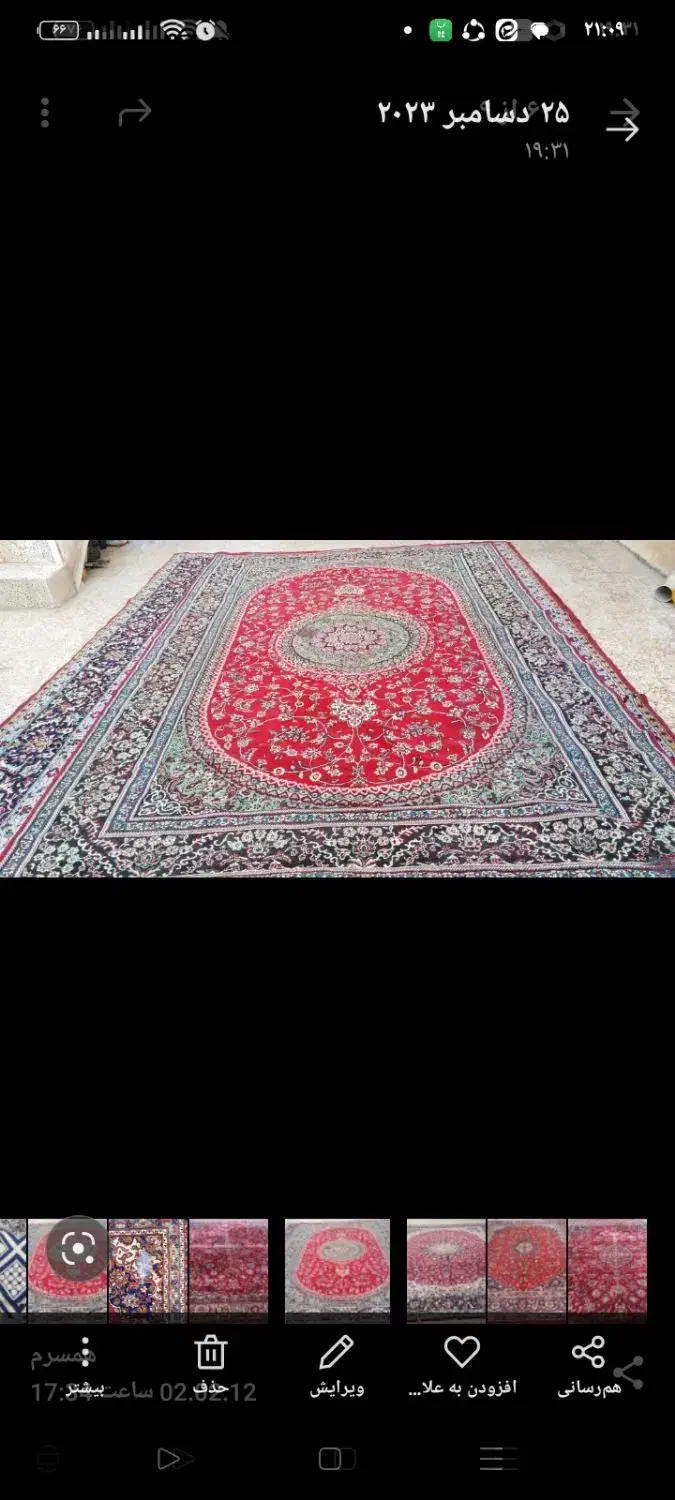 قالی 12متری|فرش|شوشتر, |دیوار