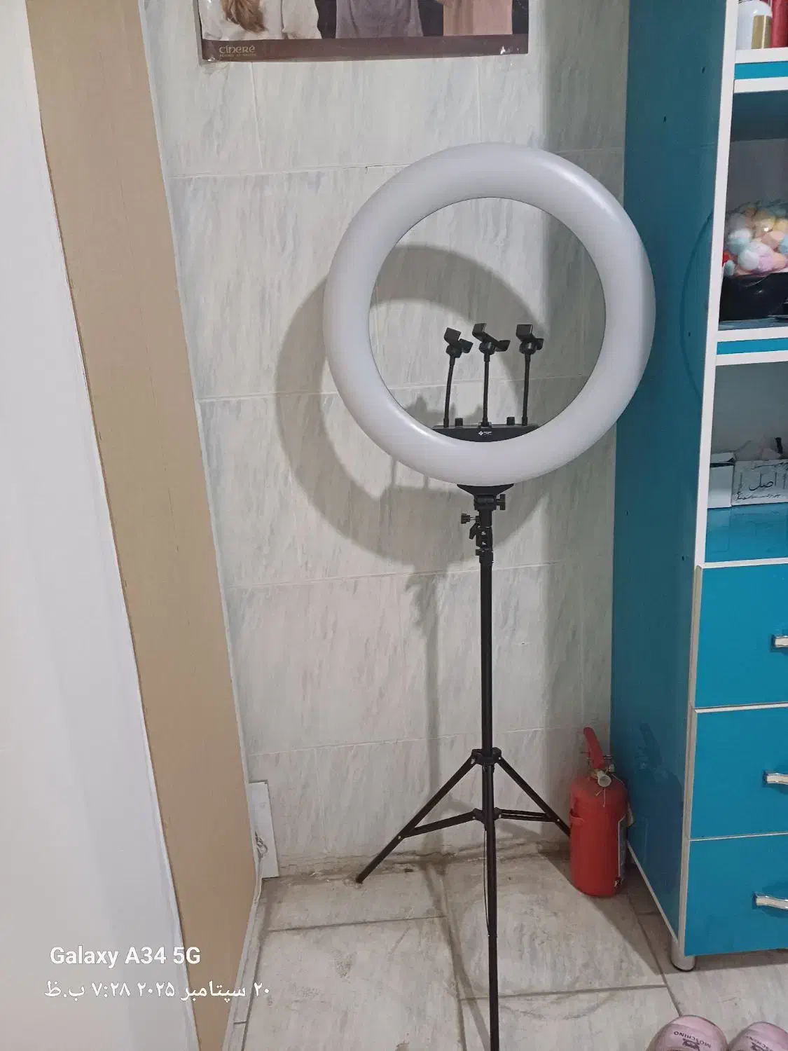 رینگ لایت ۲۱|لامپ و چراغ|بروجرد, |دیوار