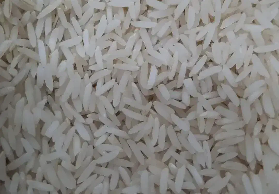 برنج هاشمی دو الکه سورت شده|خوردنی و آشامیدنی|رشت, ترمینال|دیوار