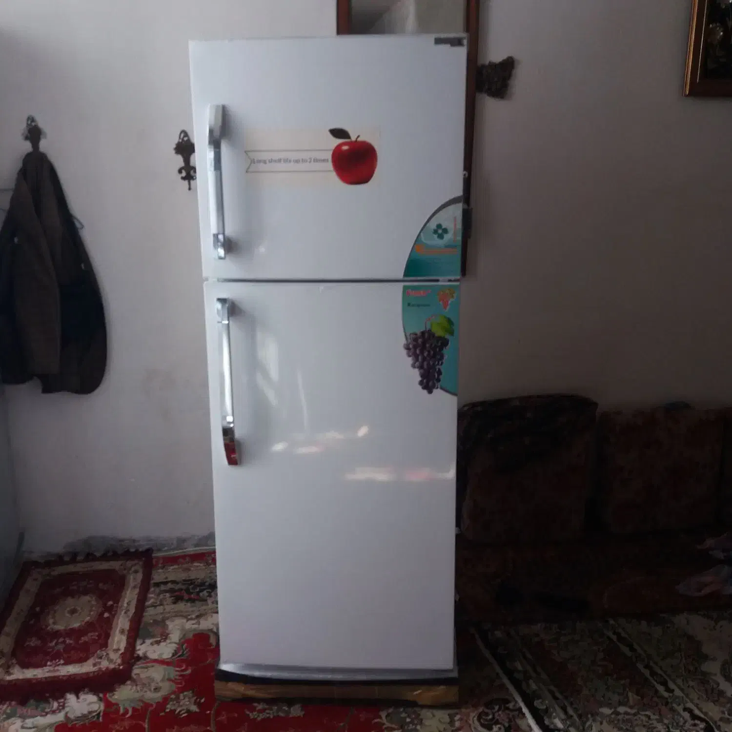 یخچال|یخچال و فریزر|تبریز, |دیوار