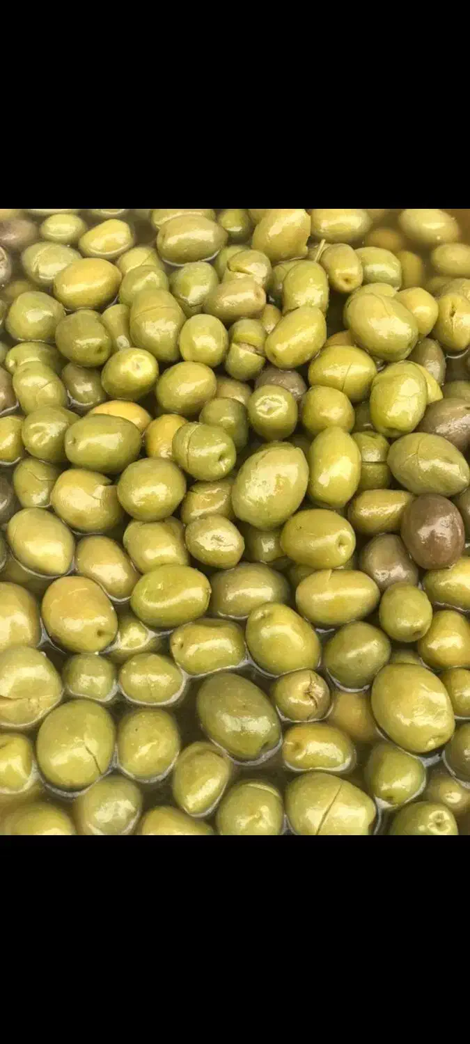 مرغ وماهی|خوردنی و آشامیدنی|رشت, خمیران زاهدان|دیوار