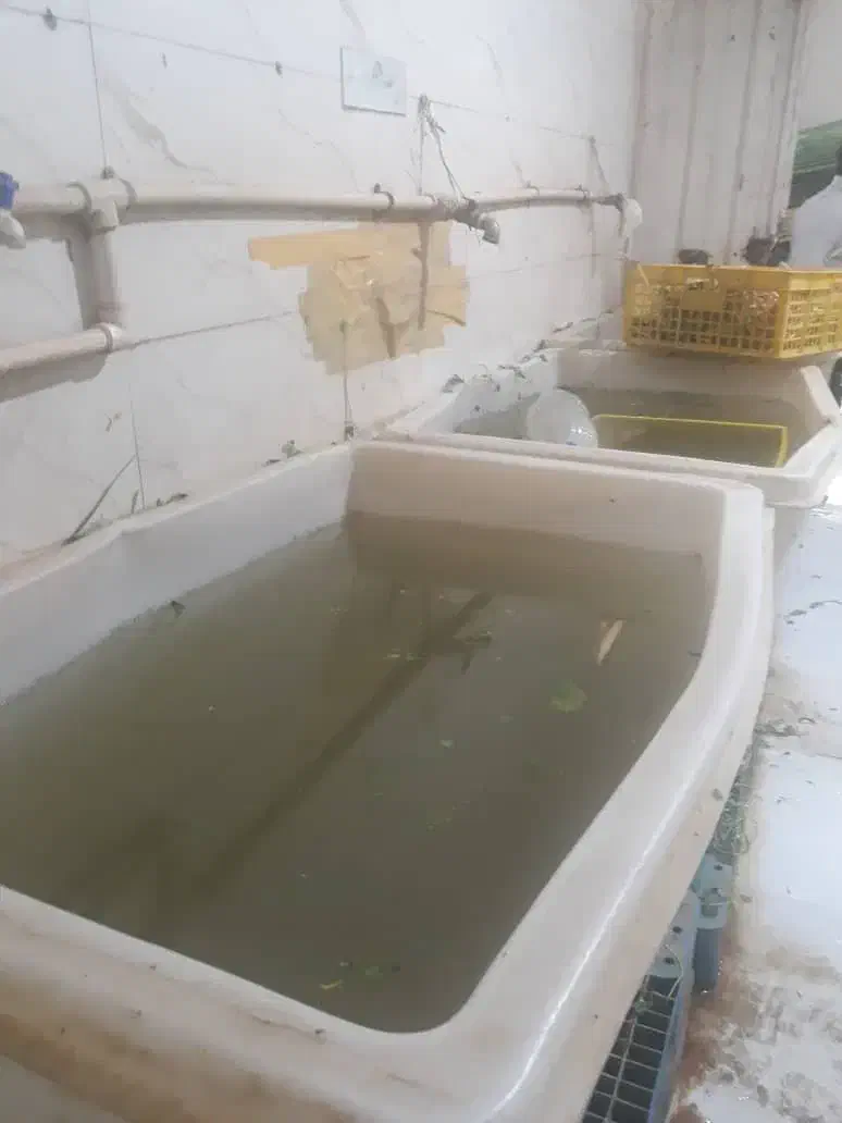 رهن و اجاره کارگاه|اجارهٔ دفتر صنعتی، کشاورزی، تجاری|باقرشهر, |دیوار