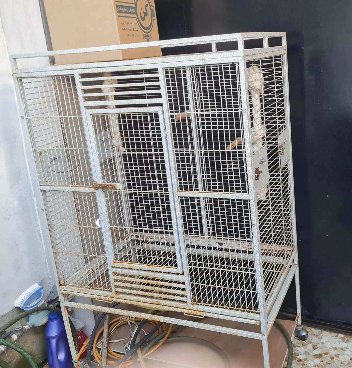 قفس|لوازم جانبی حیوانات|رشت, فرزانه|دیوار