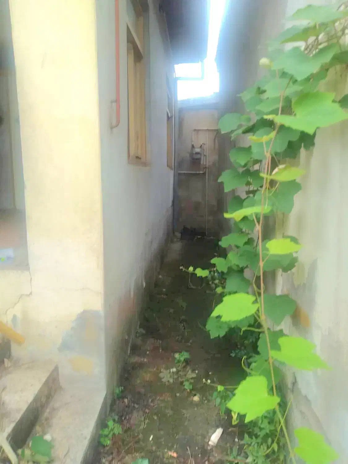 فروش خانه قدیمی|فروش خانه و ویلا|رشت, منظریه|دیوار