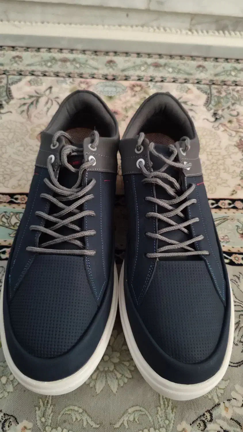 کفش|کیف، کفش، کمربند|نیشابور, بنیاد شهید|دیوار