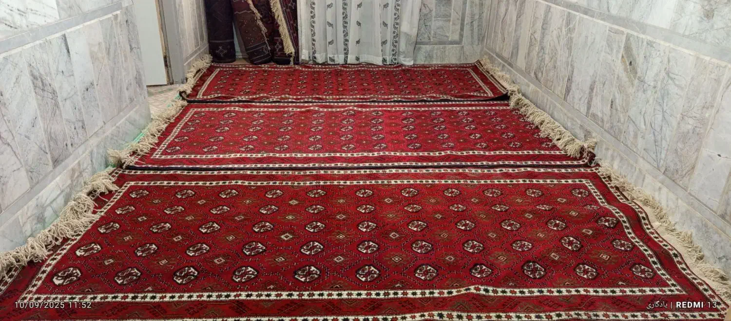 فرش دستباف|فرش|زاهدان, |دیوار