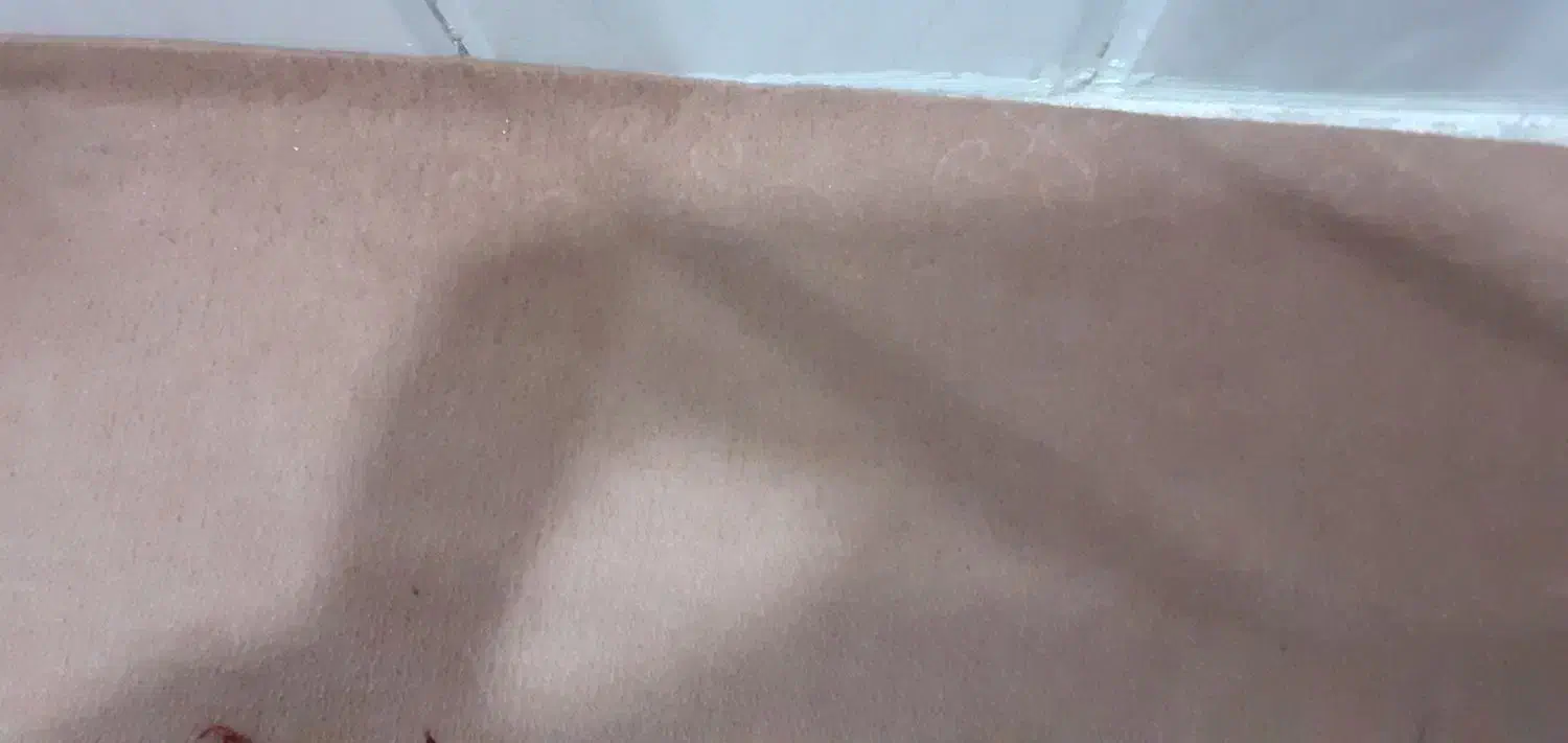 موکت|فرش|باوی, |دیوار