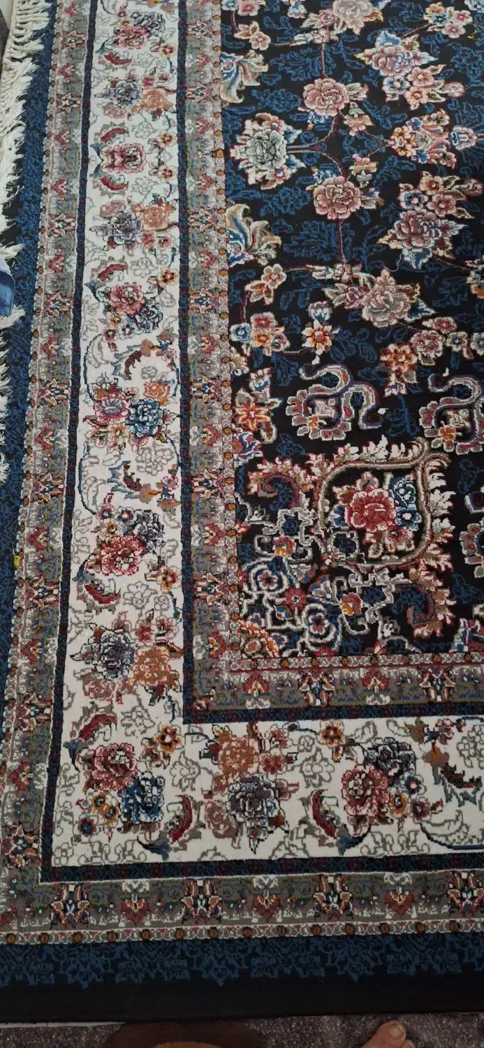 فرش ۱۲متری|فرش|نوشهر, |دیوار