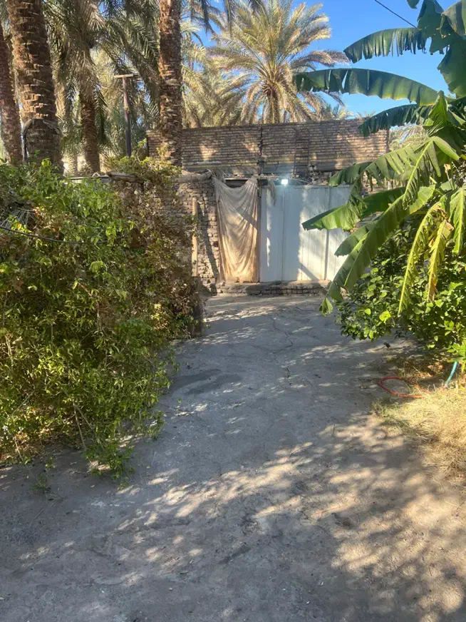 سویت کانکسی ۶۰متری خیابان جانبازان|اجارهٔ خانه و ویلا|بم, |دیوار