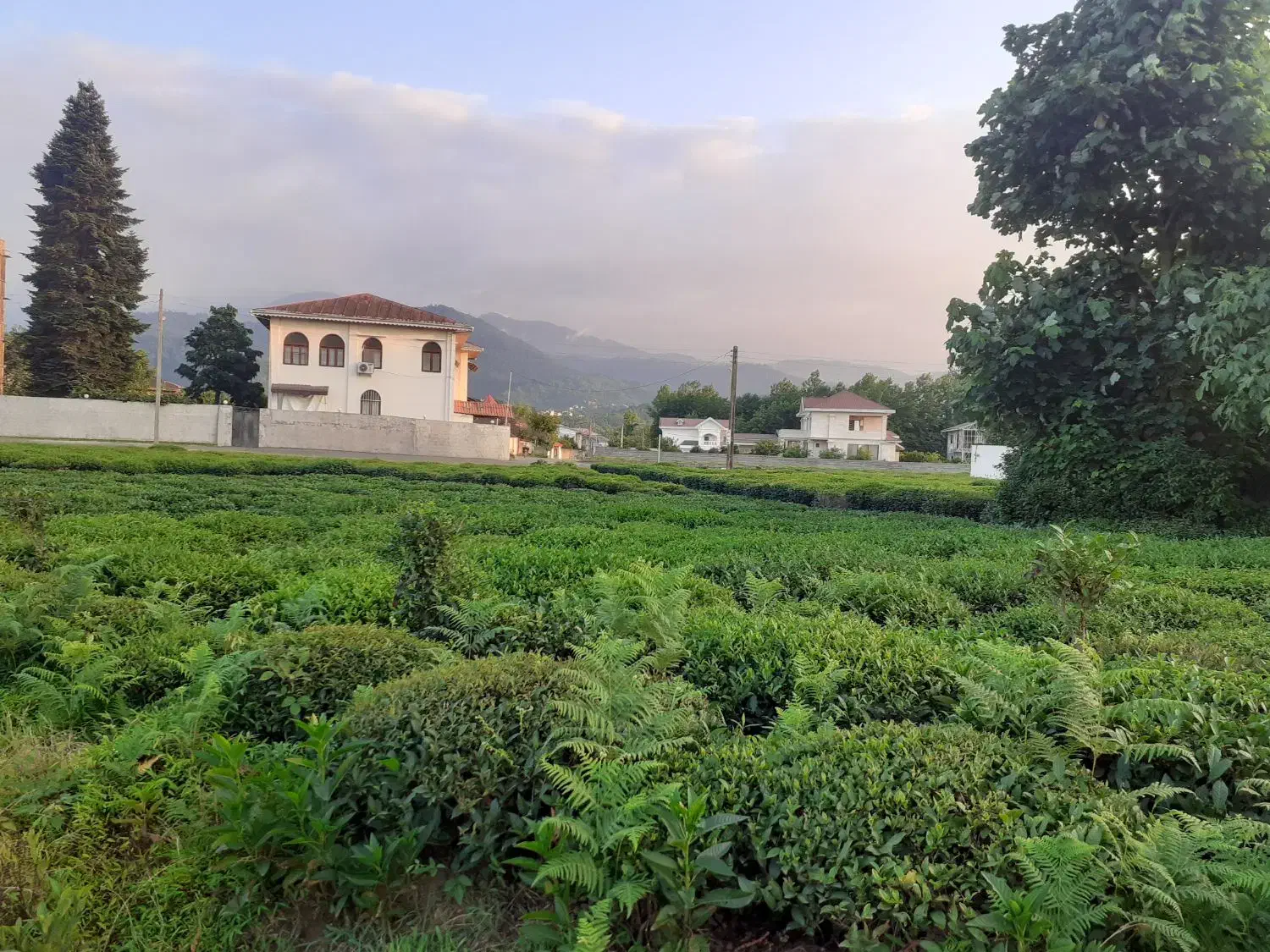 ۴۰۲متر زمین مسکونی در واجارگاه|فروش زمین و ملک کلنگی|واجارگاه, |دیوار