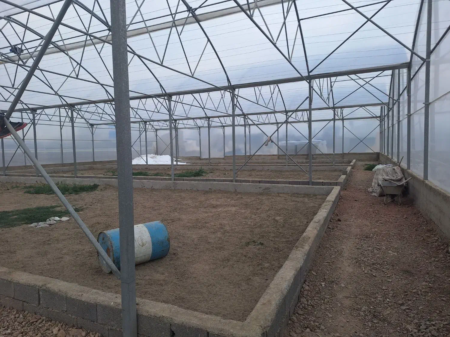 گلخانه 5800متر چهاردیواری شده|فروش دفتر صنعتی، کشاورزی، تجاری|رباط‌کریم, پیغمبر|دیوار