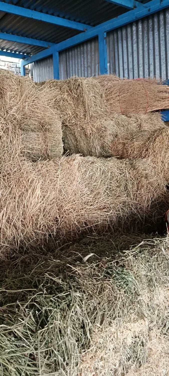 یونجه|لوازم جانبی حیوانات|لالجین, |دیوار