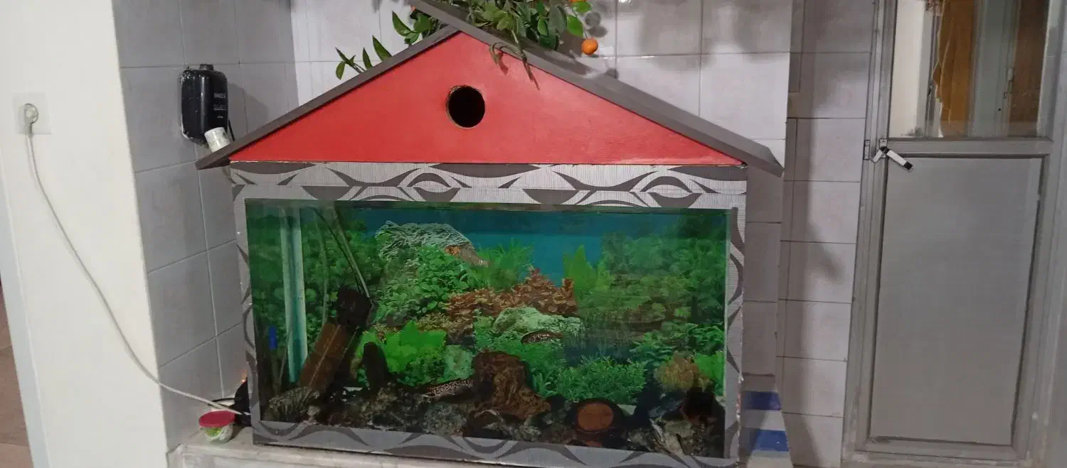 آکواریوم با تمام تجهیزات|ماهی|سبزوار, پاسداران|دیوار