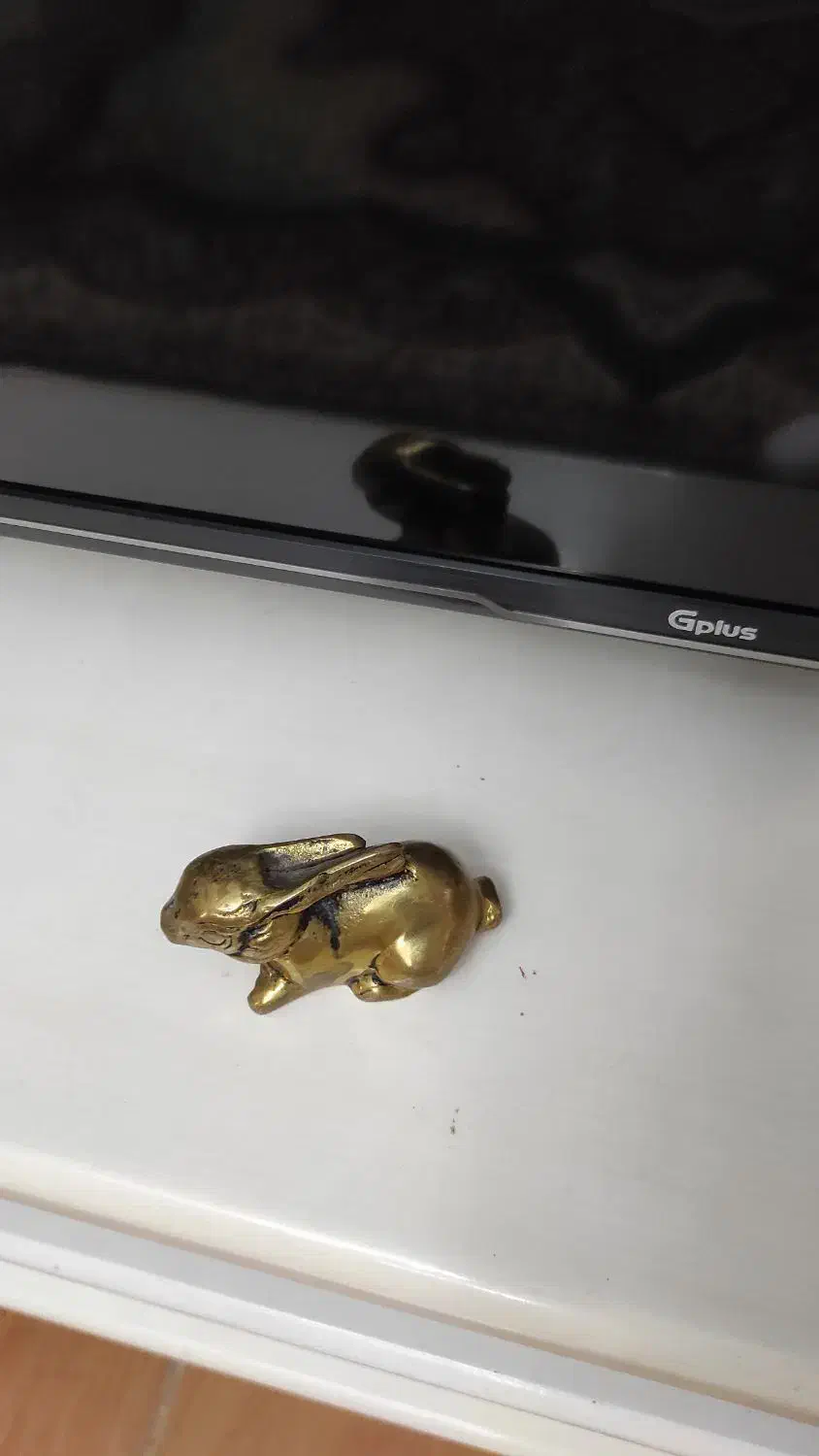 مجسمه برنجی|مجسمه، تندیس، ماکت|پاکدشت, پاکدشت (مامازند)|دیوار