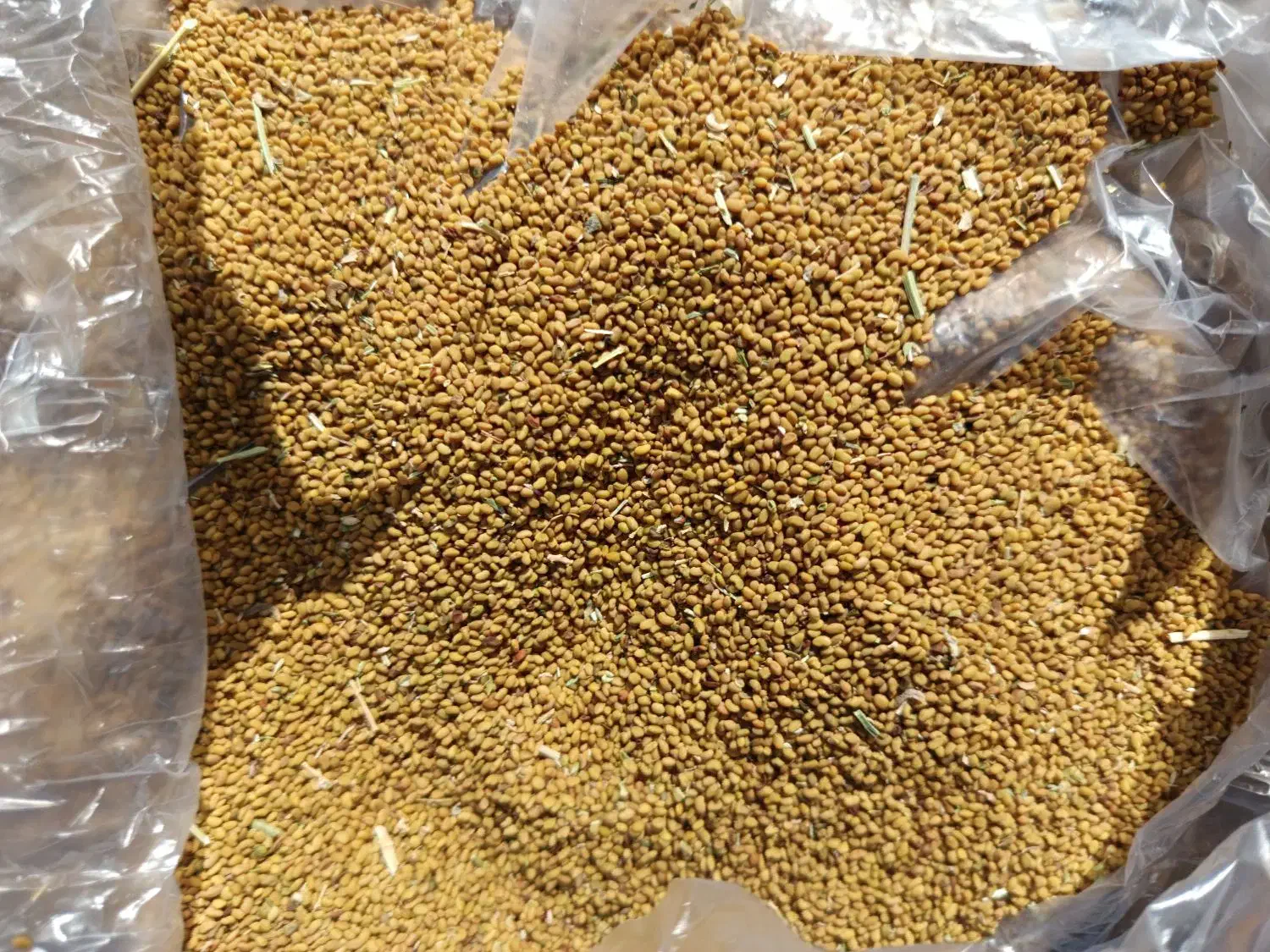 بذر قره یونجا|عمده‌فروشی|فیروزآباد (آذربایجان), |دیوار