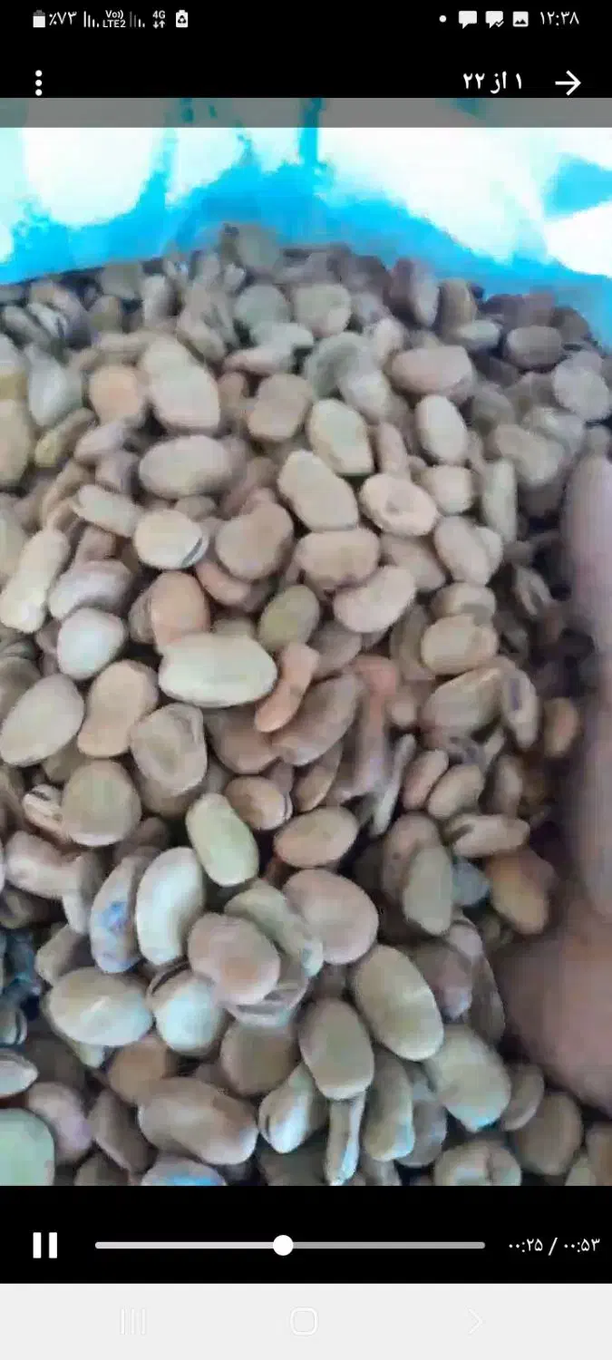 باقلا|عمده‌فروشی|رشت, سعدی (تختی)|دیوار