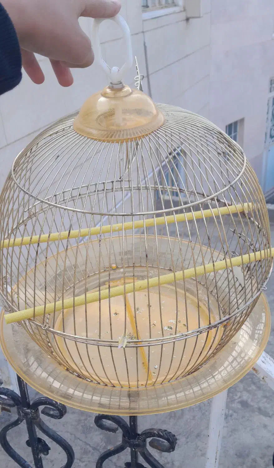 قفس طلایی سالم|لوازم جانبی حیوانات|سنندج, |دیوار