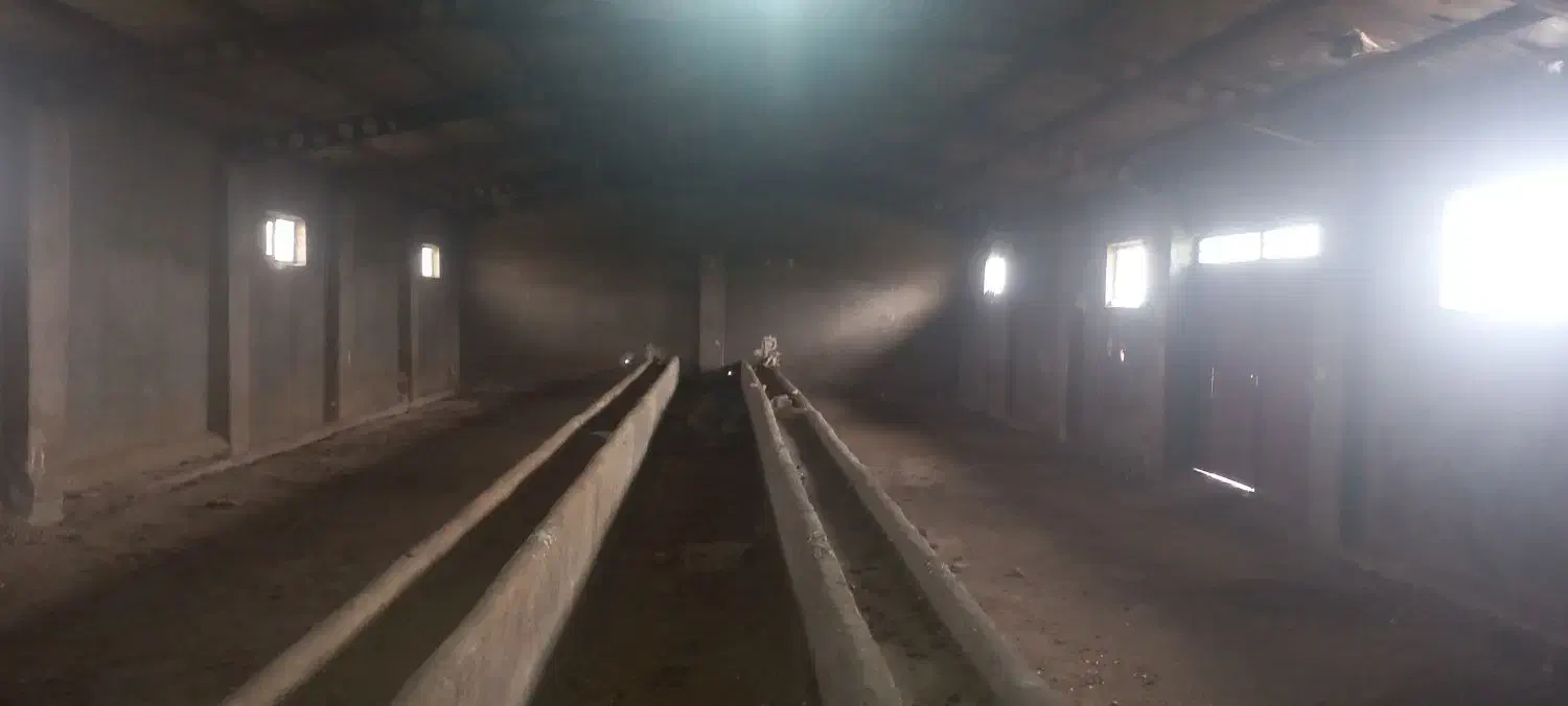 گاوداری ۱۵۰ راسی|فروش دفتر صنعتی، کشاورزی، تجاری|ثمرین, |دیوار