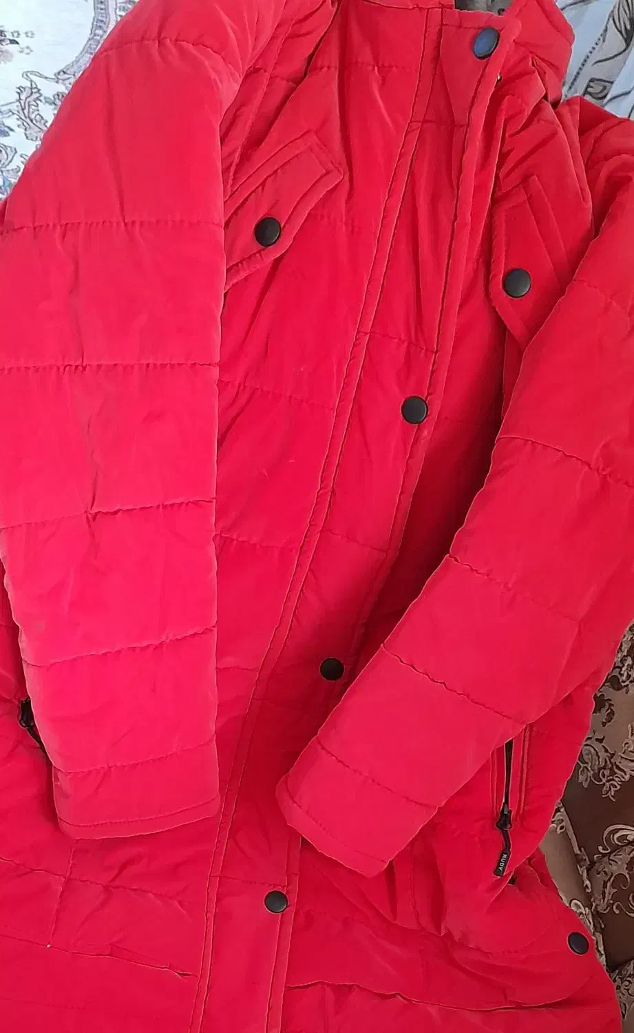 بارانی نو|لباس|اسلام‌‌آباد غرب, |دیوار