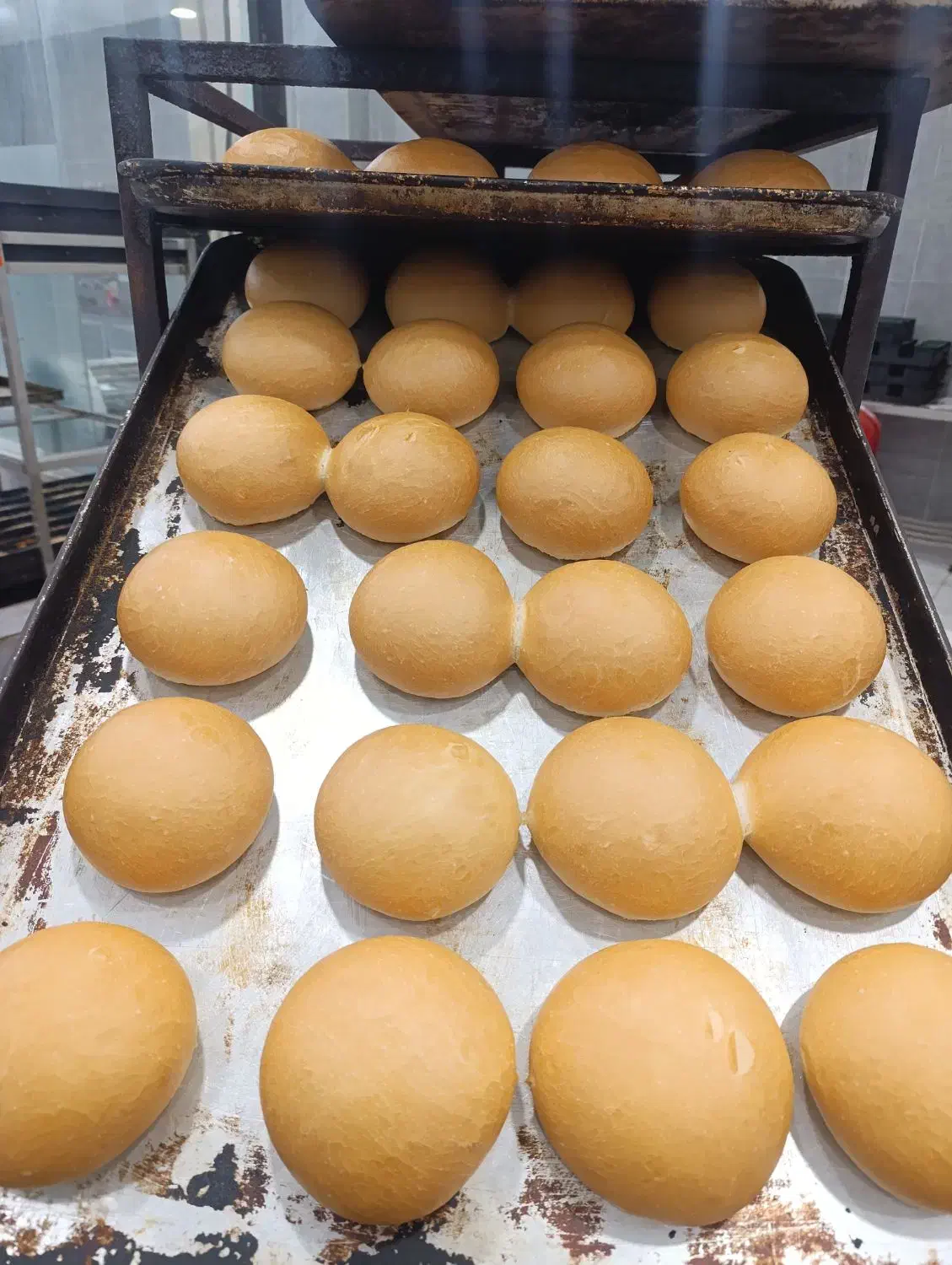 اماده همکاری با افرادی ک پخش نان فانتزی رو دارن|استخدام خدمات فروشگاه و رستوران|بندرعباس, |دیوار