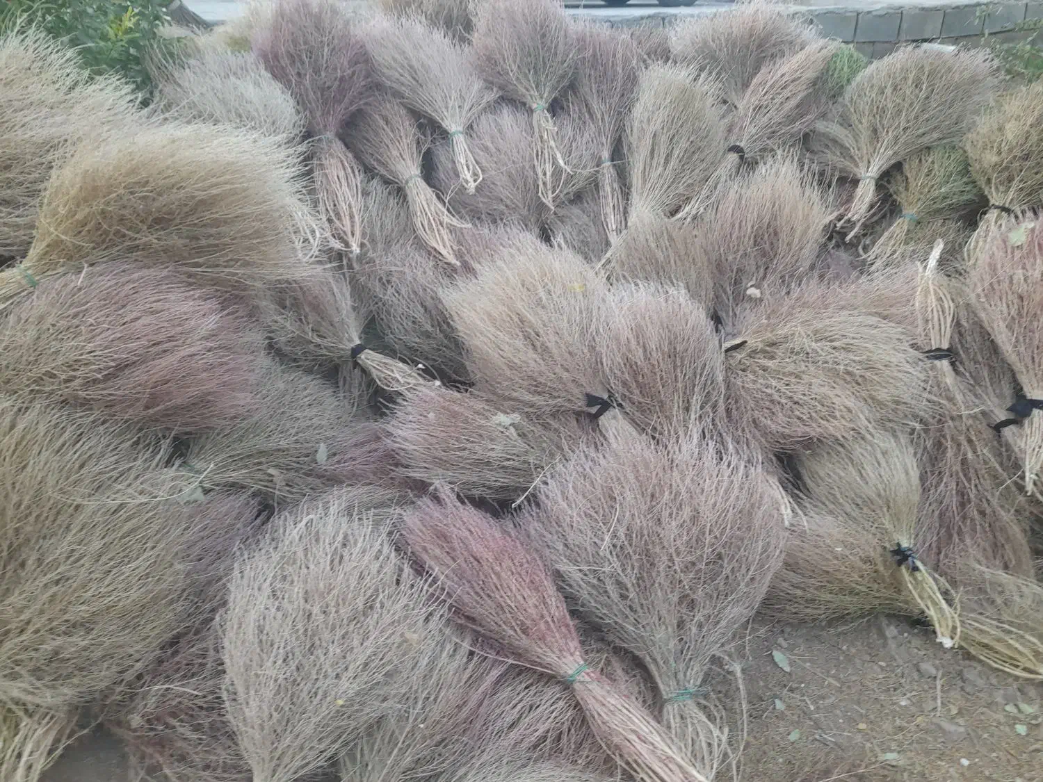 جارو|لوازم نظافت|سبزوار, توحیدشهر|دیوار