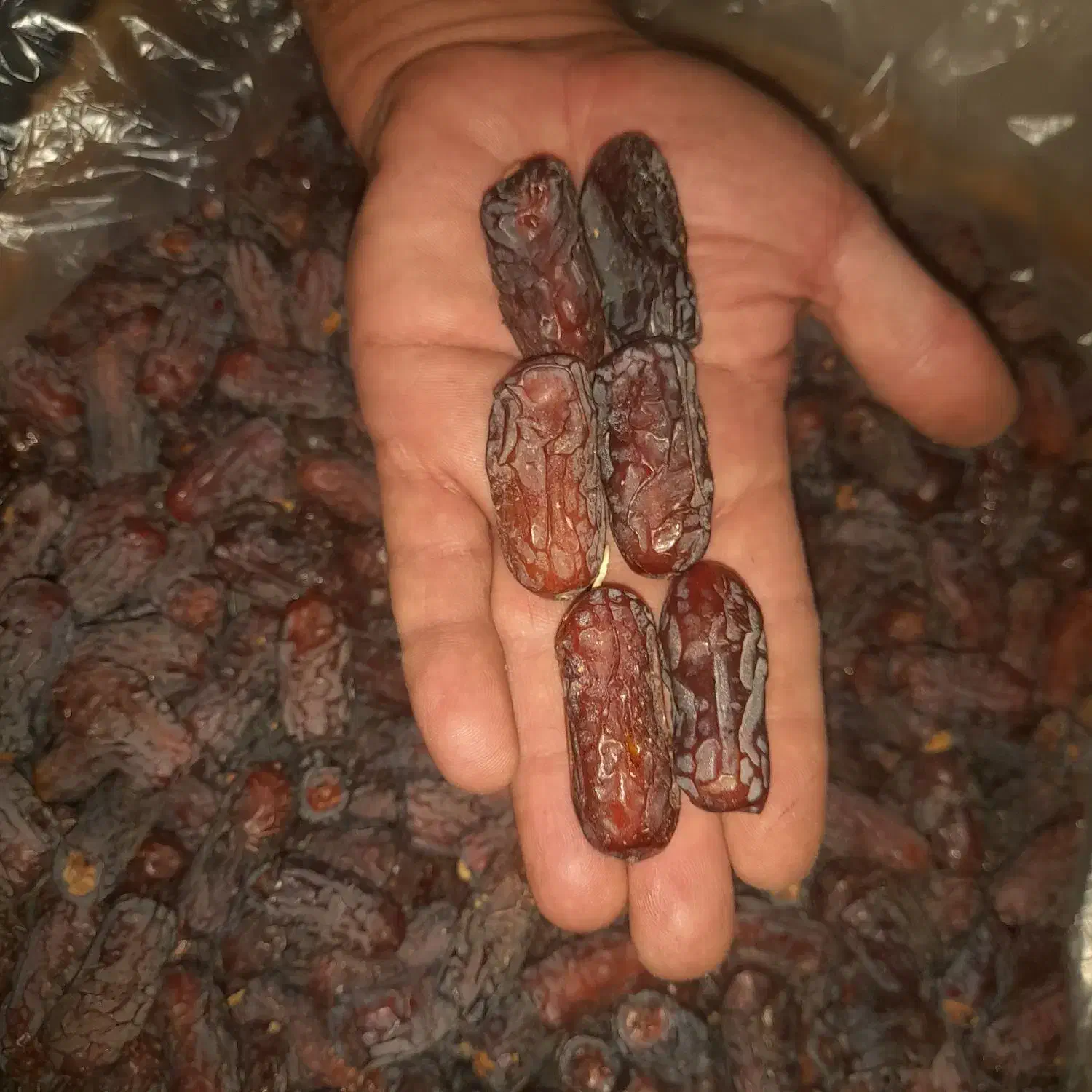 خرما پیارم وخاصیو ومضافتی شاهانی و کلیته وچیپس خ|خوردنی و آشامیدنی|حاجی آباد, |دیوار