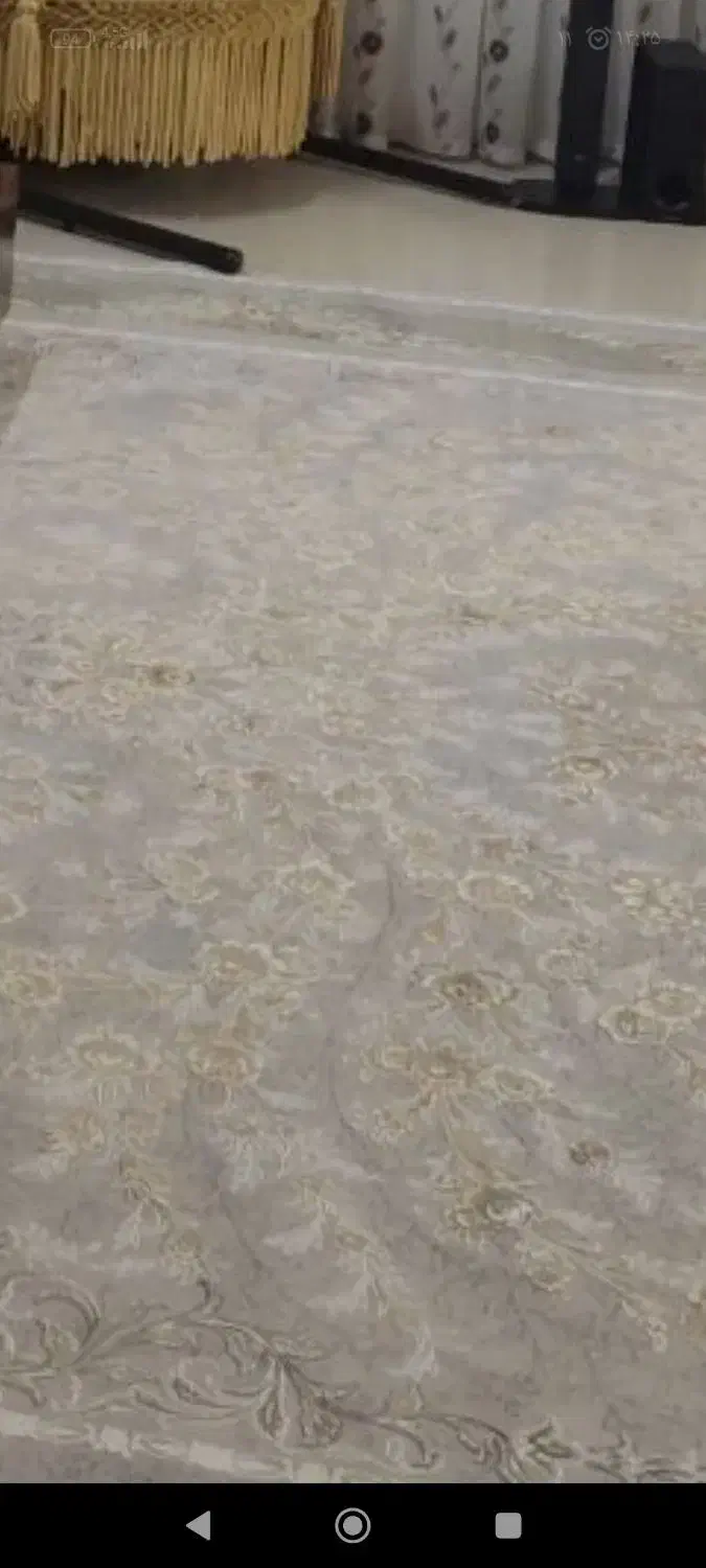 فرش 24 متری|فرش|رشت, کوی مهر|دیوار