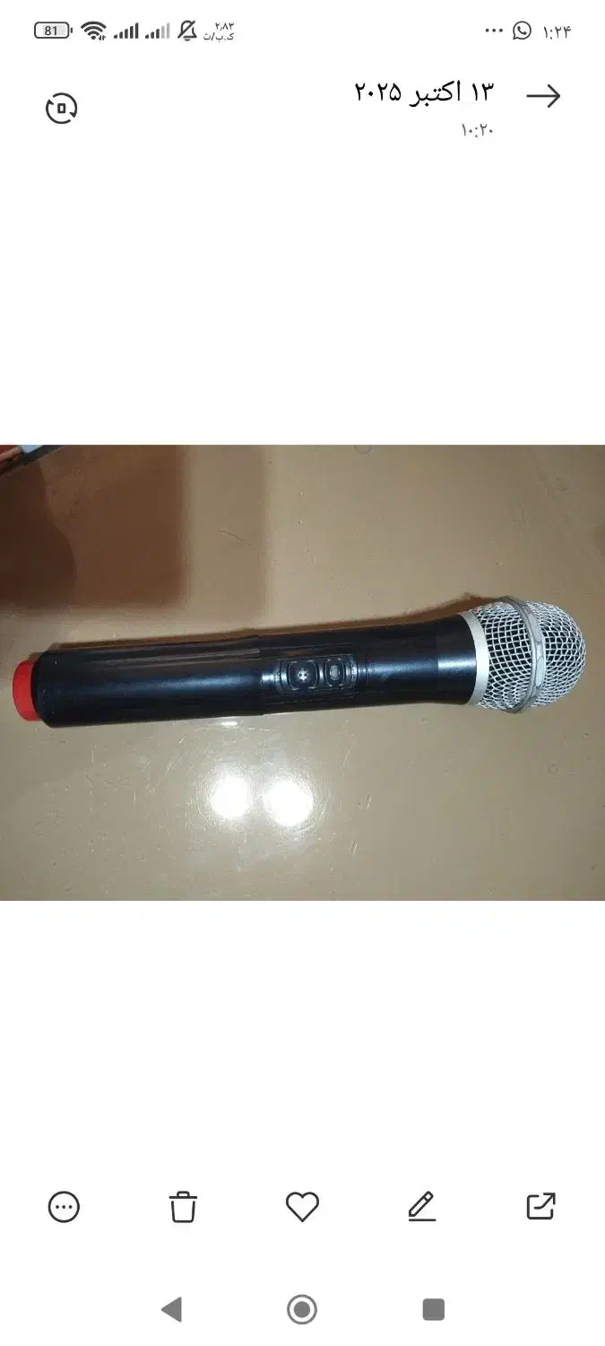 دو عدد میکروفن|صوتی و تصویری|ساوه, |دیوار