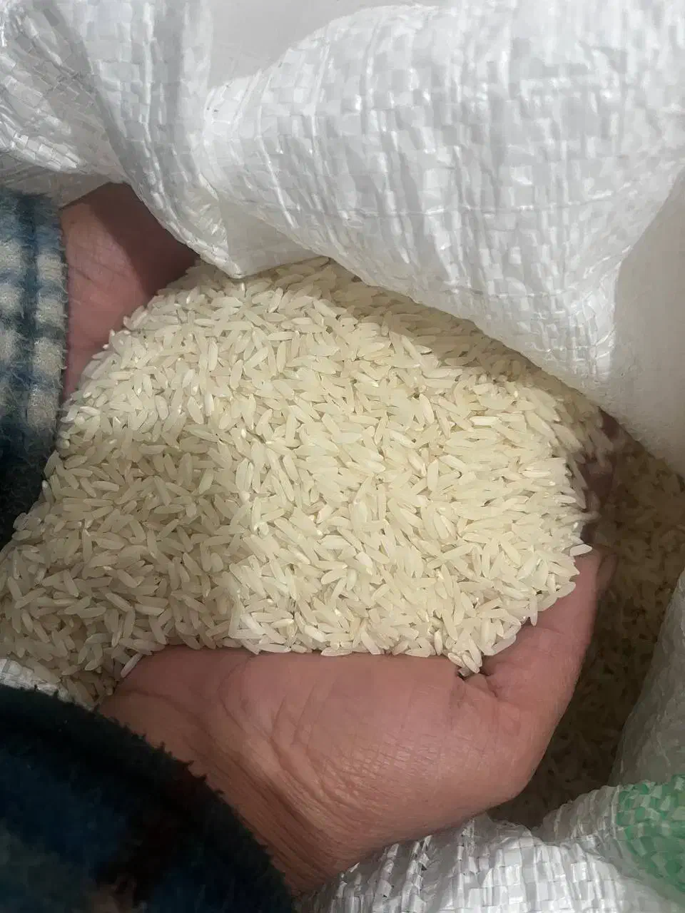 برنج هاشمی مناسب|خوردنی و آشامیدنی|رشت, یخسازی|دیوار