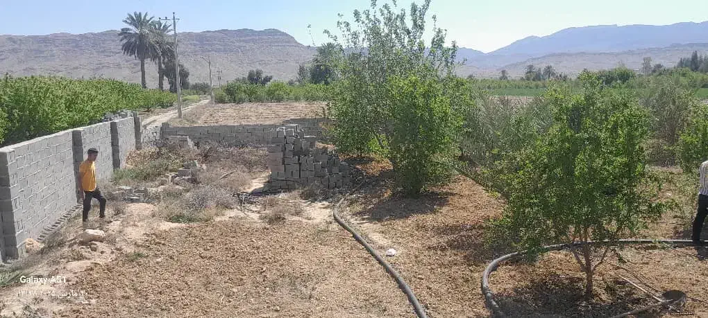 فروش تقریبا ۲۰۰۰ متر باغ جنت شهر|فروش دفتر صنعتی، کشاورزی، تجاری|جنت, |دیوار